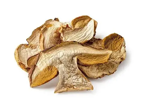 Hongo Girgola x 50gr