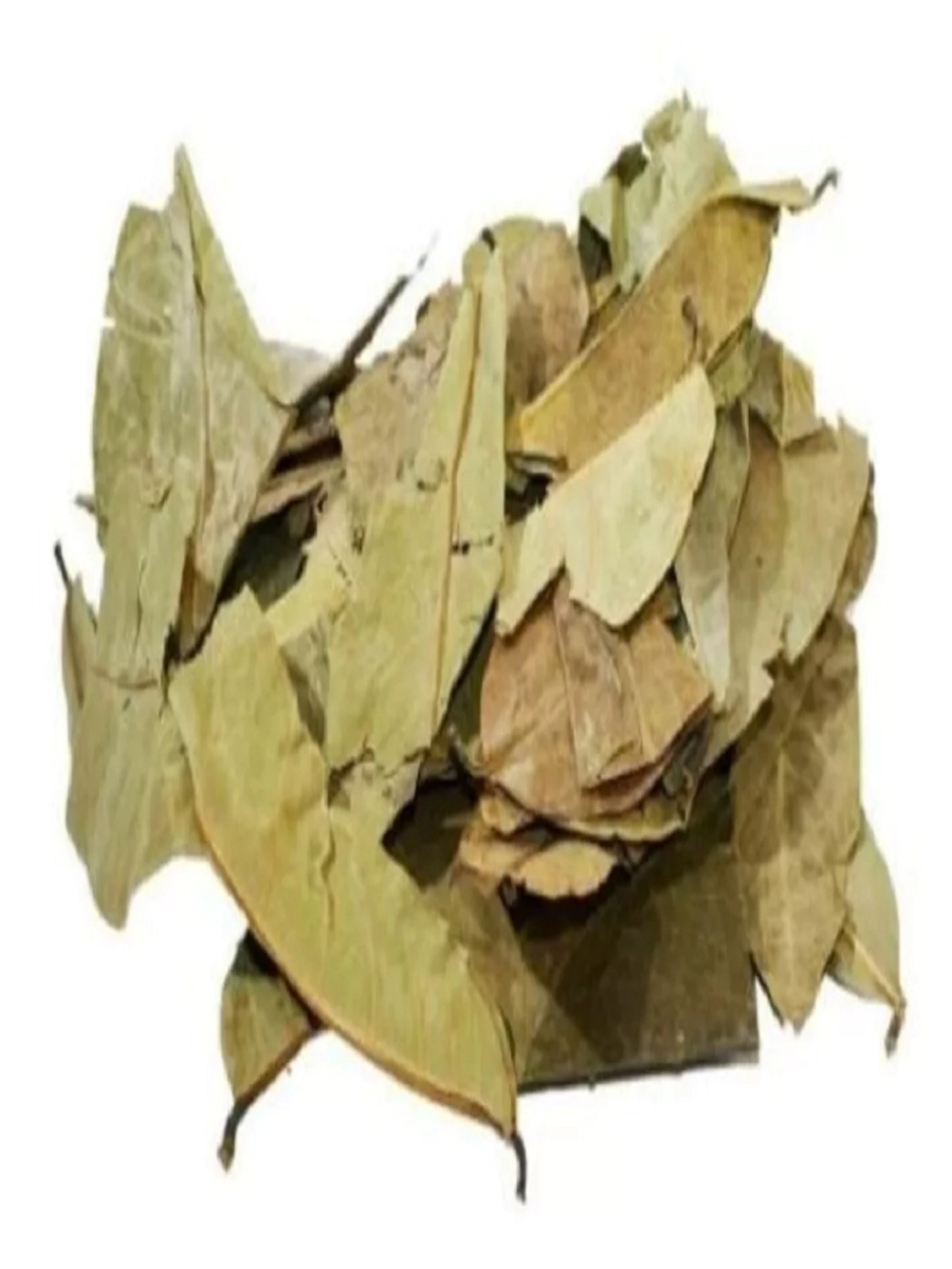 Graviola  hojas x 100gr