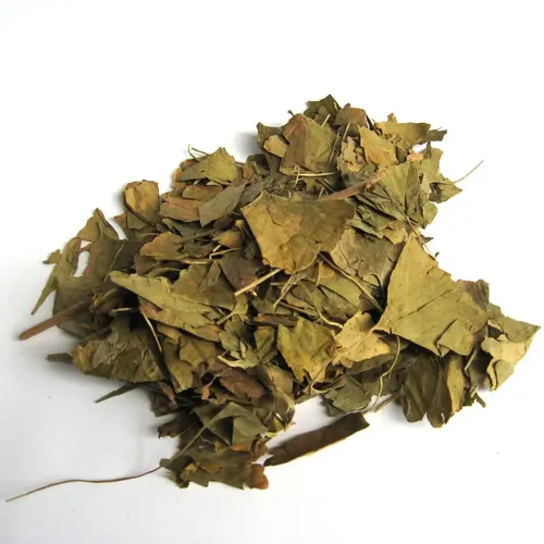 Ginkgo Biloba x 100gr